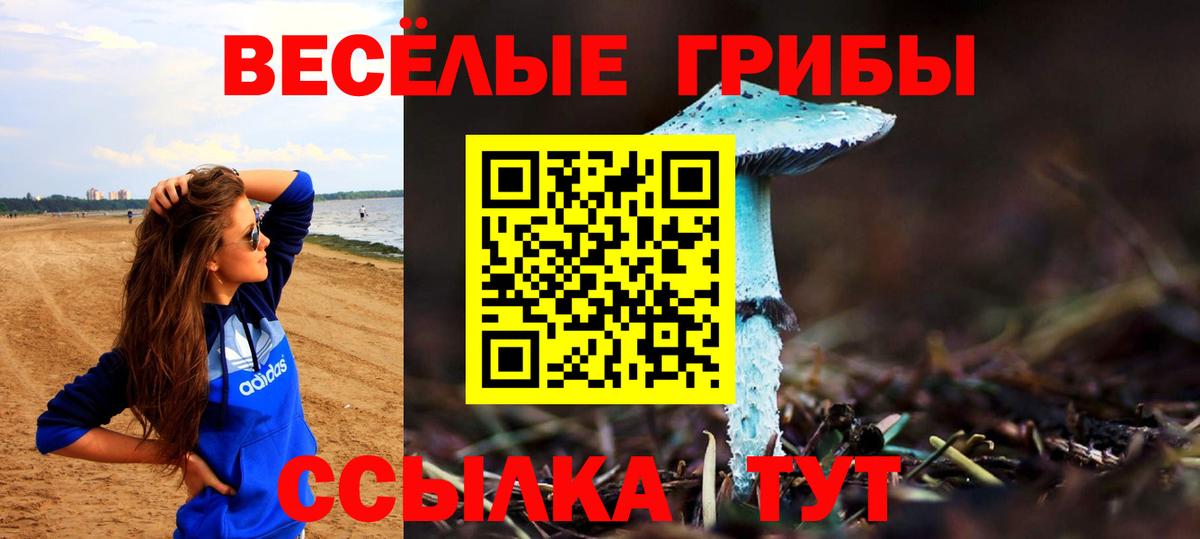 Нижнекамск  Галлюциногенные грибы Psilocybe  Вход с VPN 